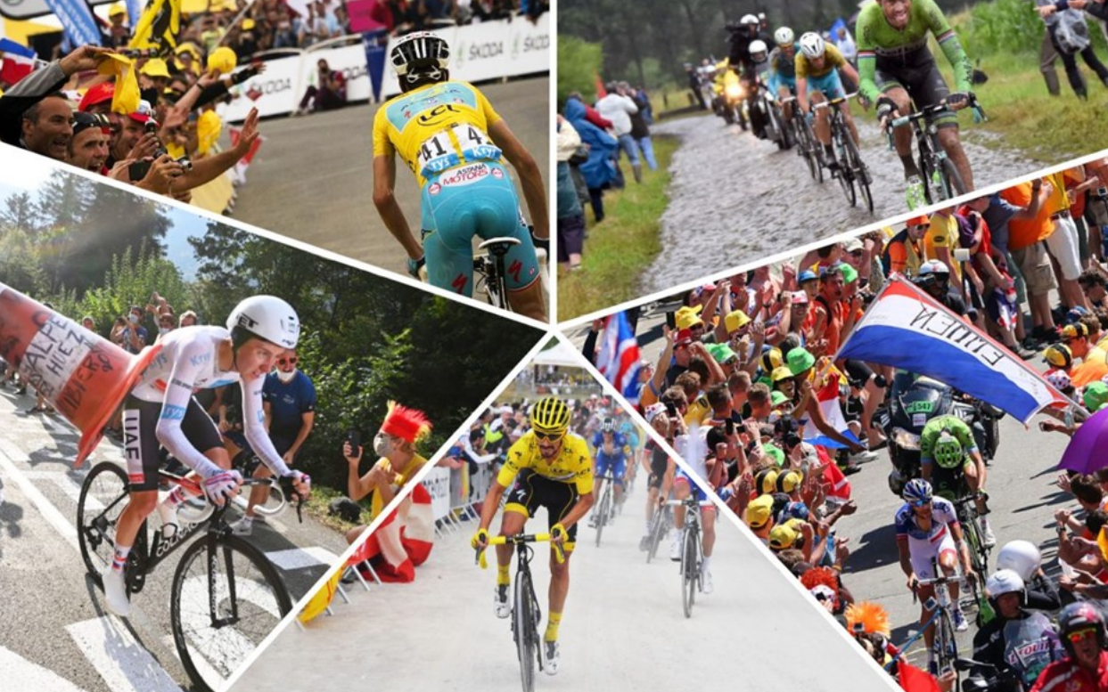 cá cược đua xe đạp Tour de France